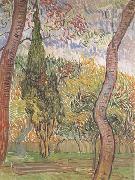 Vincent Van Gogh, The Garden of Saint-Paul Hospital (nn04)